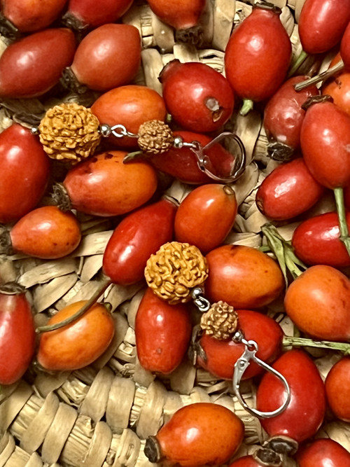 Náušnice rudraksha, chirurgická ocel — foto 2