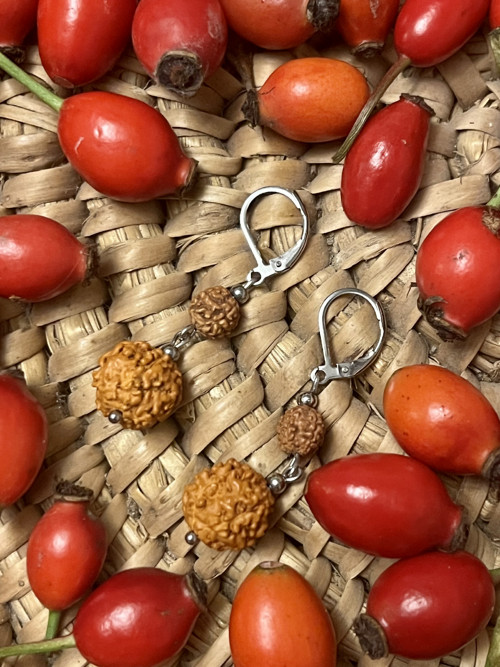Náušnice rudraksha, chirurgická ocel — foto 3