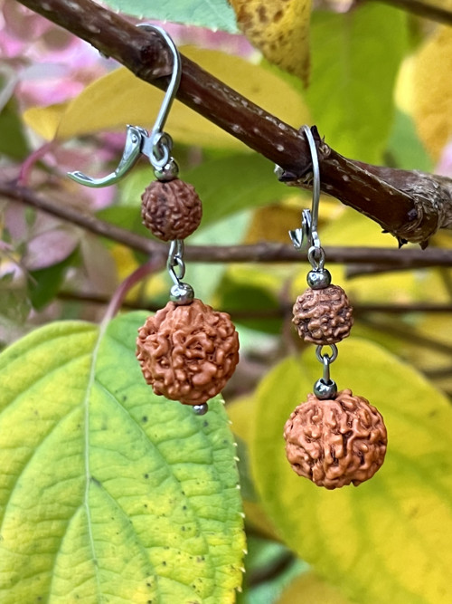 Náušnice rudraksha, chirurgická ocel — foto 5