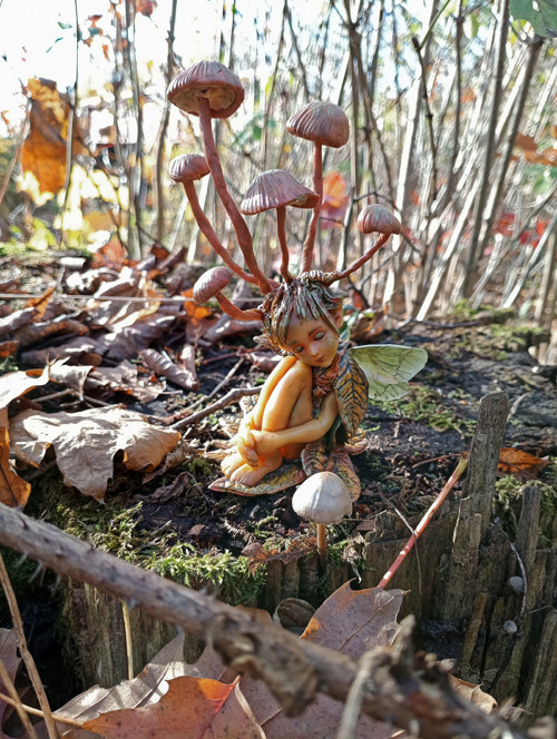 Spící houbová víla — foto 2