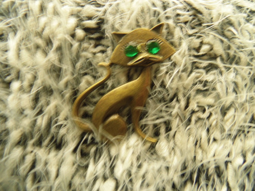Brož - kočička — foto 2