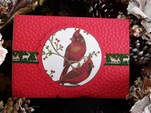 Vánoční ptáčci — foto 2