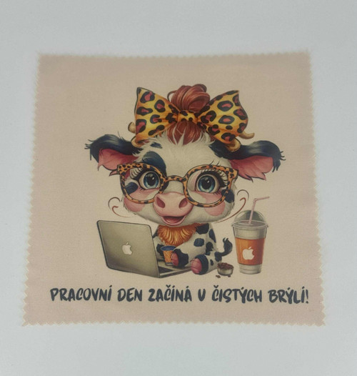 Čistící hadřík - humor — foto 4