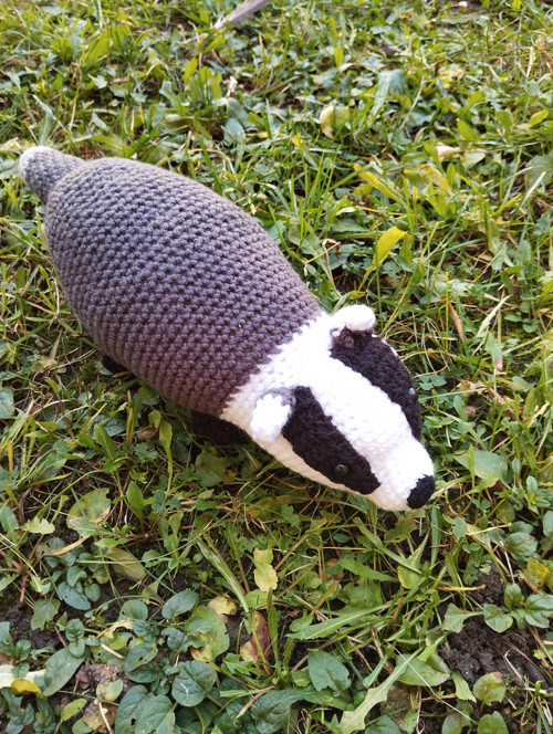 Jezevec Rudy — foto 3