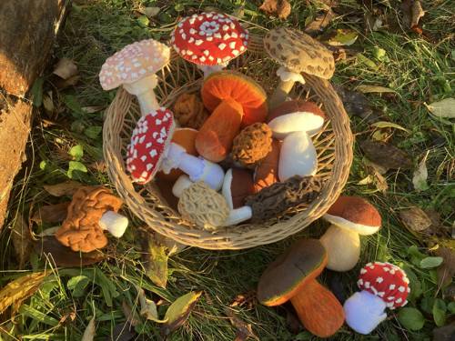 Ucháč obecný- Montessori pomůcka — foto 5