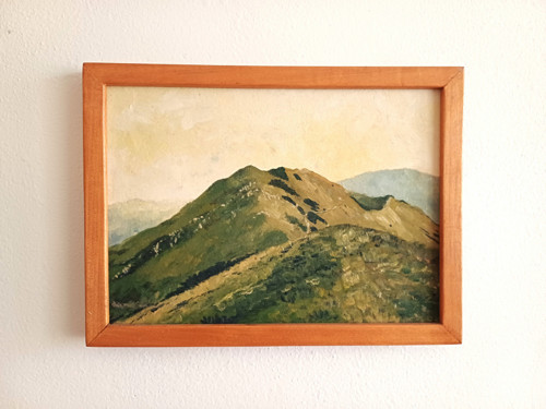 Obraz " Malá Fatra - hřebenovka " — foto 2