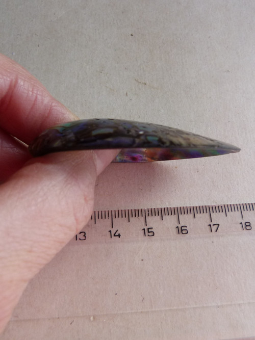 Perleť mušle Paua - 5,5 cm - Extra! (P1) — foto 6