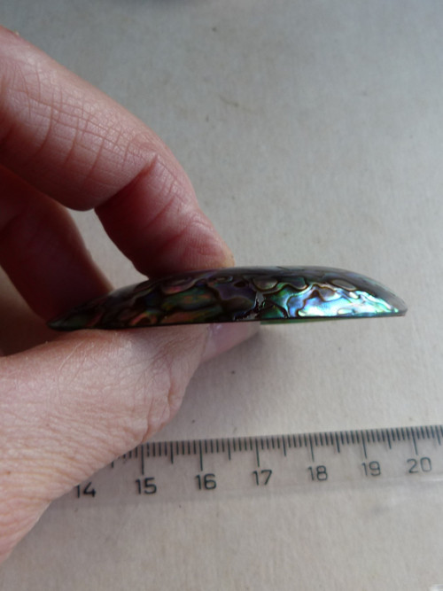Perleť mušle Paua - 5,8 cm - Extra! (P3) — foto 6