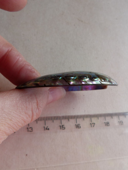Perleť mušle Paua - 5,8 cm - Extra! (P4) — foto 6