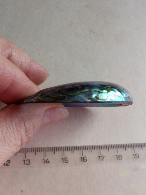 Perleť mušle Paua - 5,8 cm - Extra! (P5) — foto 6