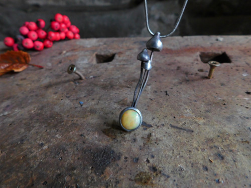 Psilocybe semilanceata... — foto 2