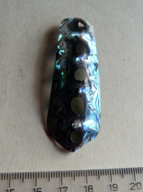 Perleť mušle Paua - 6 cm - Extra! — foto 3