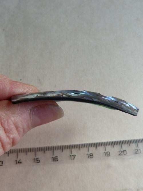 Perleť mušle Paua - 6 cm - Extra! — foto 6