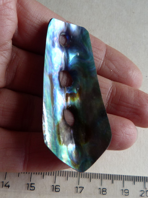 Perleť mušle Paua - 5,9 cm - Extra! — foto 2