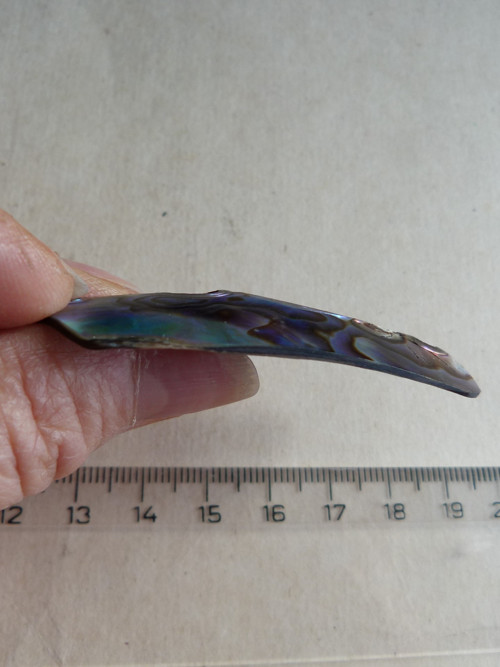 Perleť mušle Paua - 5,9 cm - Extra! — foto 6