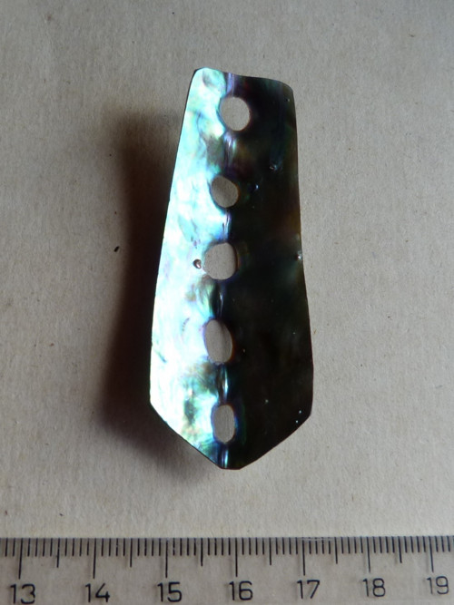 Perleť mušle Paua - 6,1 cm - Extra! — foto 5