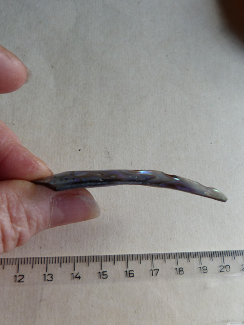 Perleť mušle Paua - 6,1 cm - Extra! — foto 6