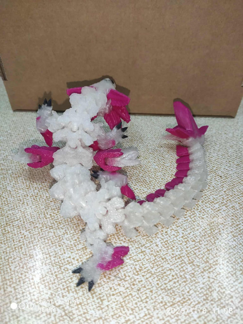Axolotí drak - menší — foto 4