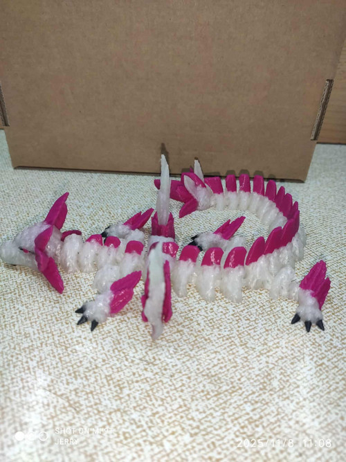 Axolotí drak - menší — foto 2