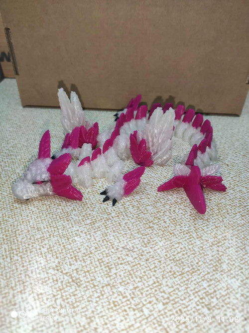 Axolotí drak - menší — foto 3