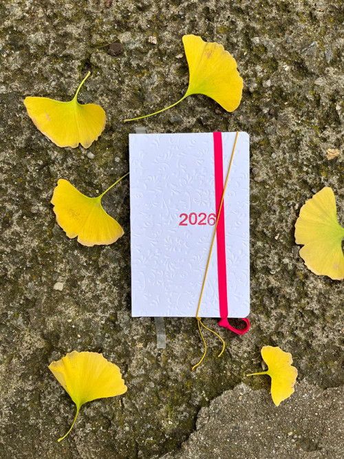 Diář 2026 #10 Minimalistický — foto 3