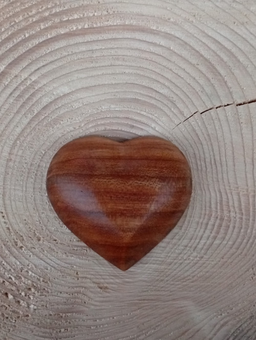 Jilmové srdíčko do dlaně — foto 3