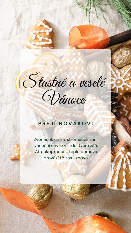 Digitální vánoční přání — foto 2