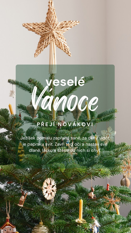 Digitální vánoční přání — foto 2