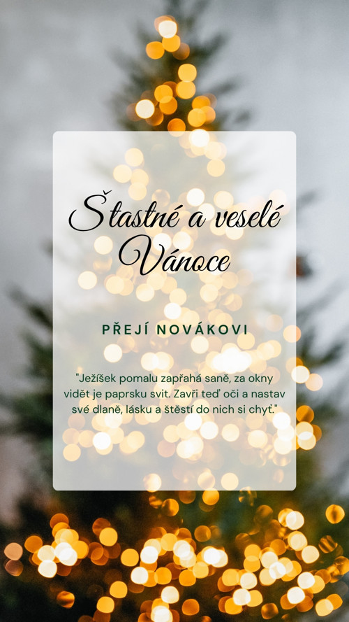Digitální vánoční přání — foto 2
