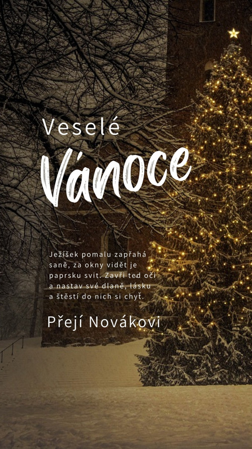 Digitální vánoční přání — foto 2