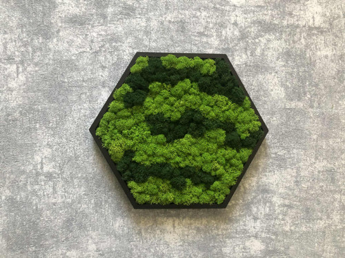 Mechový obraz hexagon 21x21cm — foto 2