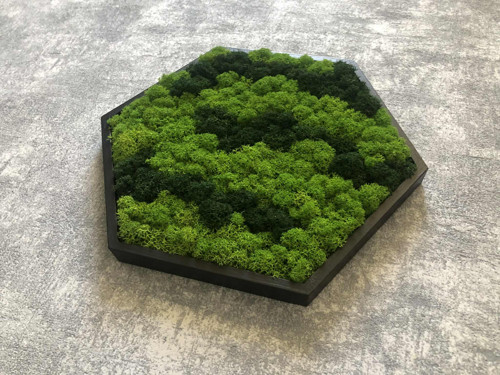 Mechový obraz hexagon 21x21cm — foto 3