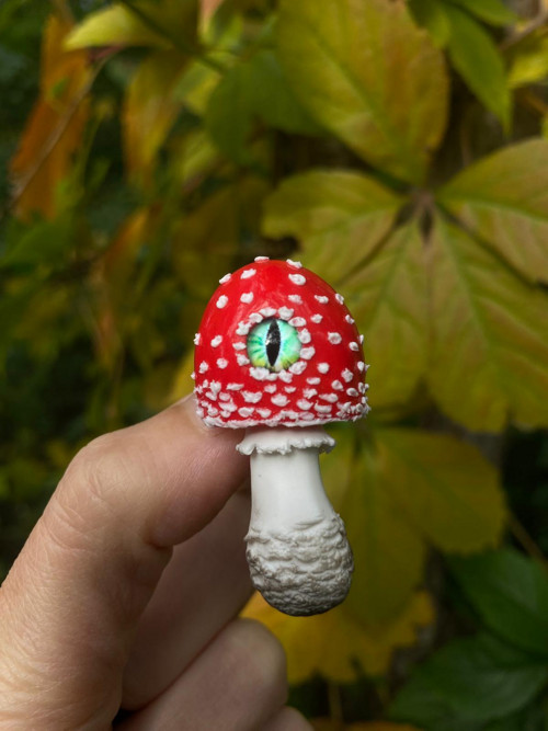 Fly Agaric — foto 4