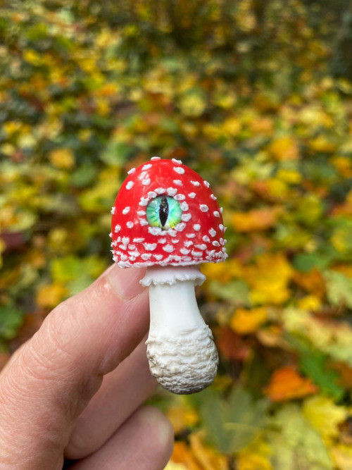 Fly Agaric — foto 5