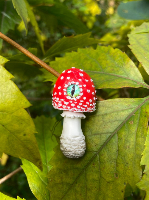 Fly Agaric — foto 2