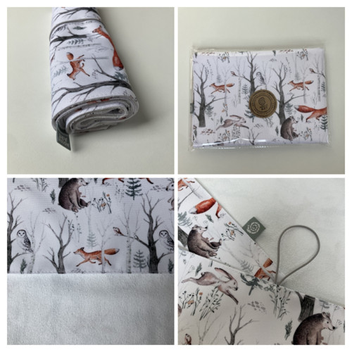 Plenkovník kočárkovina - SET — foto 4