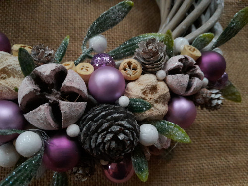 Adventní fialkový — foto 3