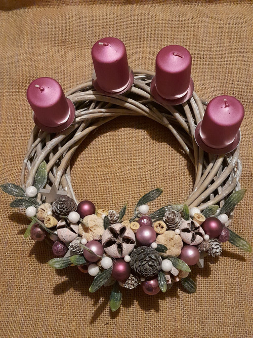 Adventní fialkový — foto 2