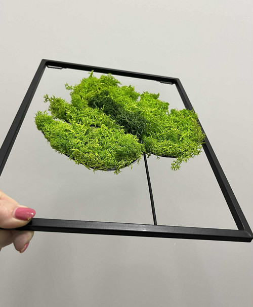 3D Monstera - mechový list 35 × 25cm — foto 3