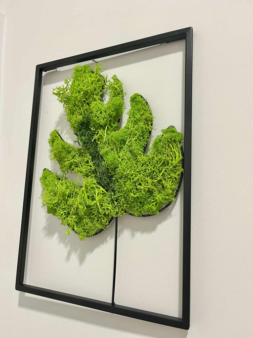 3D Monstera - mechový list 35 × 25cm — foto 2