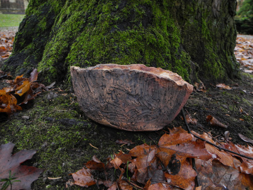 Přírodní květináč — foto 2