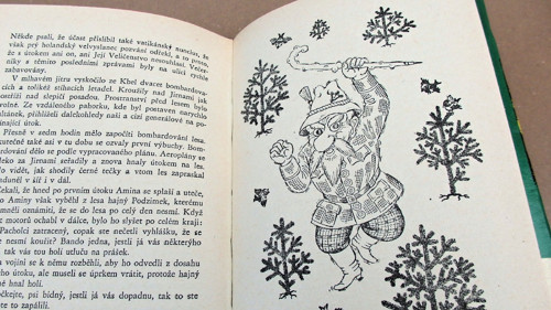 Pučálkovic Amina — foto 5