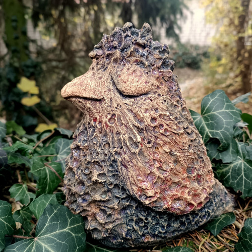 Čepejřák — foto 4