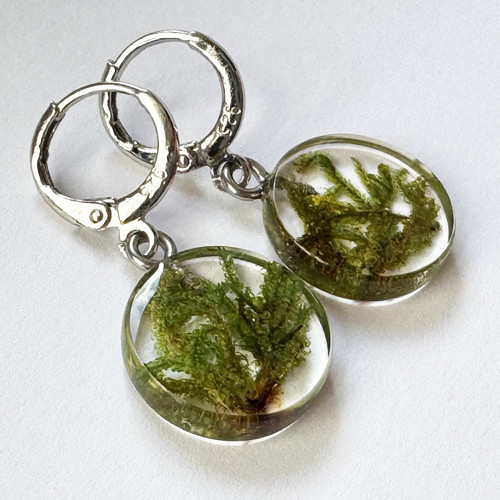 Lesní se zeleným mechem — foto 2