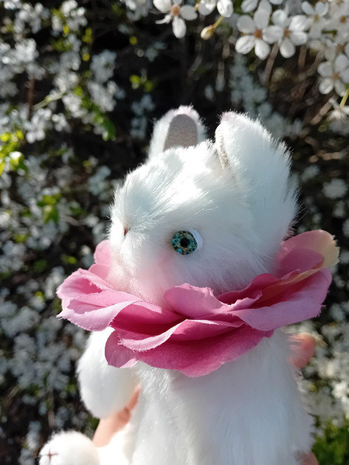 Králík s kytičkou bílý — foto 4