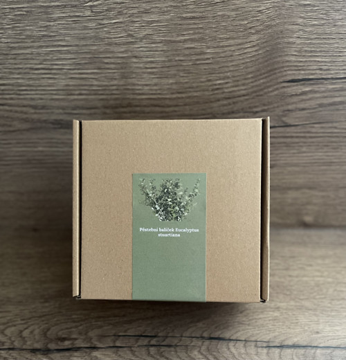 Pěstební balíček Eucalyptus stuartiana — foto 3
