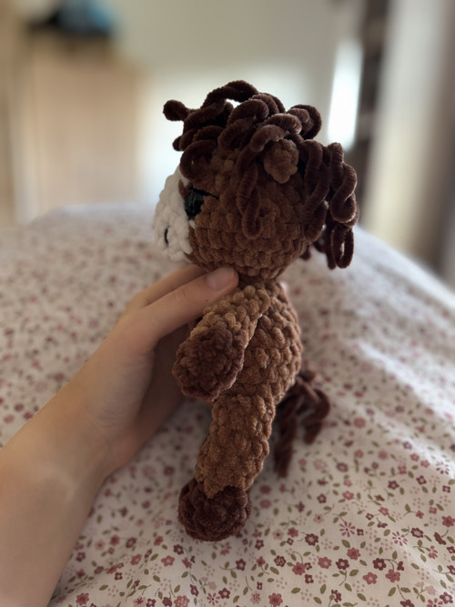 Háčkovaný koník — foto 4