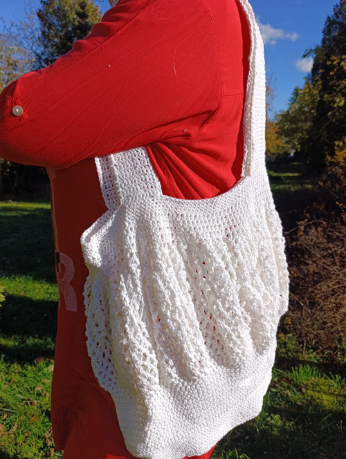 Síťovka - sněhová vločka — foto 2