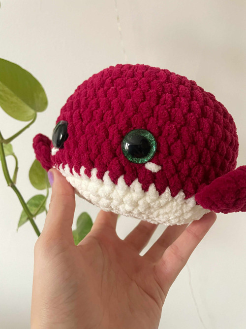 Velká burgundy velrybka — foto 3