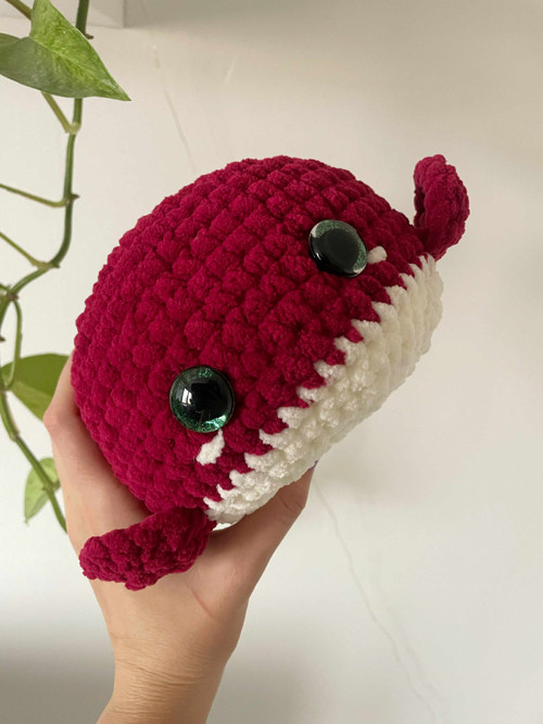 Velká burgundy velrybka — foto 2